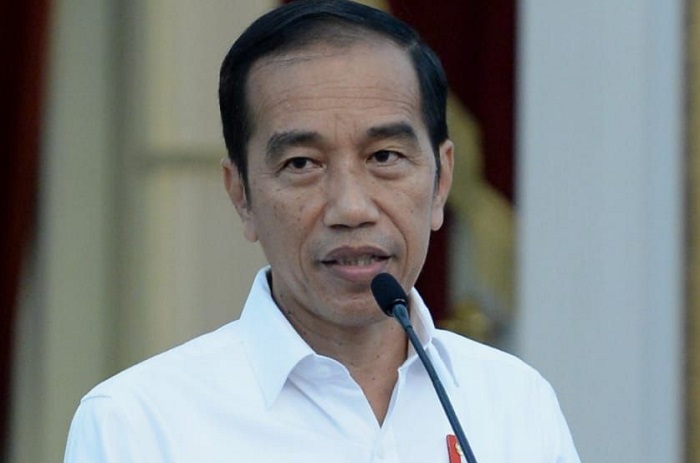 Mantan Presiden Joko Widodo. (Dok. presidenri.go.id)